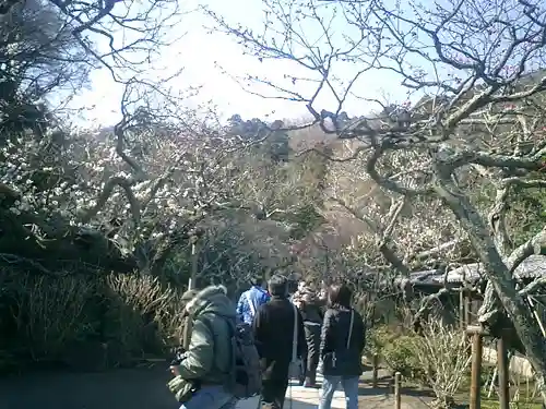 東慶寺の庭園