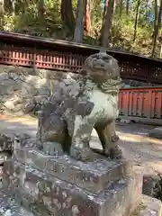 日枝神社の狛犬