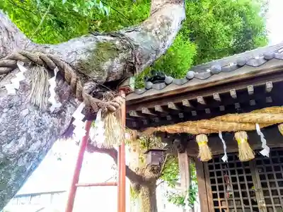 石神社のその他建物