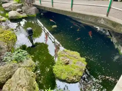 東光寺別院桜ヶ池不動院の{uncategorized: "未分類", other: "その他", undefined: "問題あり", building: "その他建物", grave: "お墓", sacred_gate: "鳥居", guardian: "狛犬", statue: "像", buddha: "仏像", history: "歴史", nature: "自然", garden: "庭園", animal: "動物", pagoda: "塔", temizu: "手水舎", mountain_gate: "山門・神門", sanctuary: "本殿・本堂", subordinate: "末社・摂社", art: "芸術", scenery: "景色", jizo: "地蔵", ema: "絵馬", goshuin: "御朱印", omikuji: "おみくじ", items: "授与品その他", amulet: "お守り", goshuincho: "御朱印帳", eats: "食事", festival: "お祭り", votive_dance: "神楽", shichigosan: "七五三参", wedding: "結婚式", experience: "体験その他", initially: "初詣", around: "周辺", anti_infection: "感染症対策"}