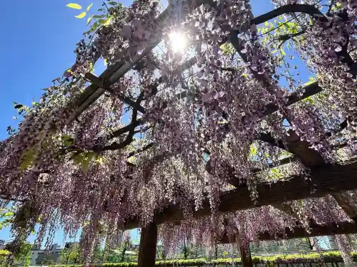 天満宮中之社（廃神社・石碑あり）(大阪府)