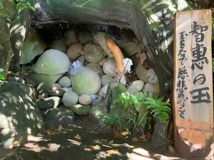 渋川八幡宮(群馬県)