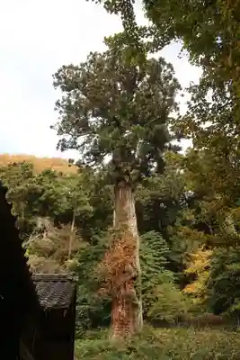 大洗磯前神社(岐阜県)