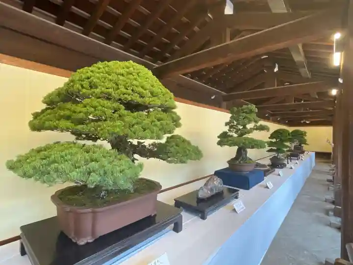 明治神宮(東京都)