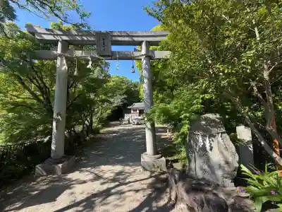 金山彦神社の{uncategorized: "未分類", other: "その他", undefined: "問題あり", building: "その他建物", grave: "お墓", sacred_gate: "鳥居", guardian: "狛犬", statue: "像", buddha: "仏像", history: "歴史", nature: "自然", garden: "庭園", animal: "動物", pagoda: "塔", temizu: "手水舎", mountain_gate: "山門・神門", sanctuary: "本殿・本堂", subordinate: "末社・摂社", art: "芸術", scenery: "景色", jizo: "地蔵", ema: "絵馬", goshuin: "御朱印", omikuji: "おみくじ", items: "授与品その他", amulet: "お守り", goshuincho: "御朱印帳", eats: "食事", festival: "お祭り", votive_dance: "神楽", shichigosan: "七五三参", wedding: "結婚式", experience: "体験その他", initially: "初詣", around: "周辺", anti_infection: "感染症対策"}