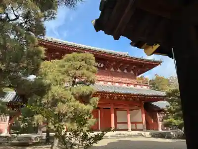 大徳寺(京都府)