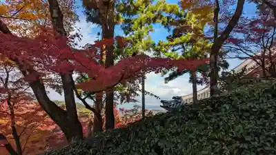 禅林寺(永観堂)(京都府)