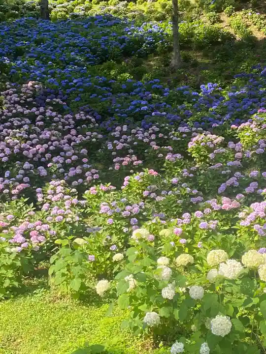 秋葉總本殿可睡斎(静岡県)