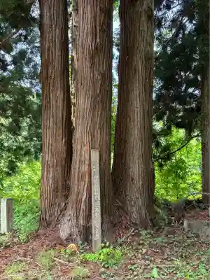 伊夜彦神社(福島県)