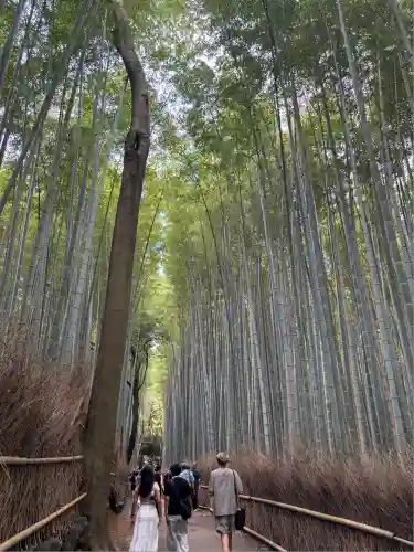 御髪神社の周辺