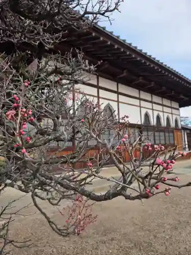 玉泉寺(福島県)