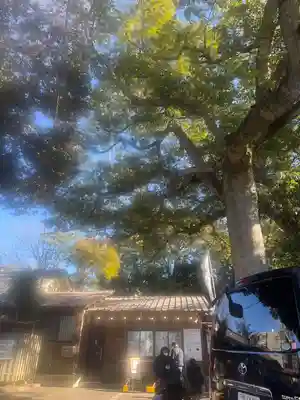 大宮・大原神社(千葉県)