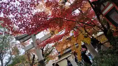 安井金比羅宮(京都府)