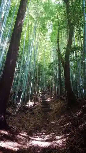 胎蔵寺の景色