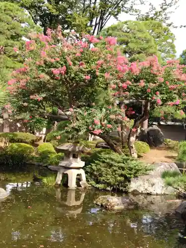 蓮花院の庭園