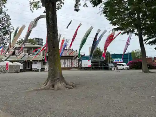 相模原氷川神社(神奈川県)