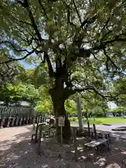 岐阜信長神社（橿森神社境内摂社）(岐阜県)