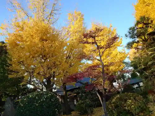 常葉神社(岐阜県)