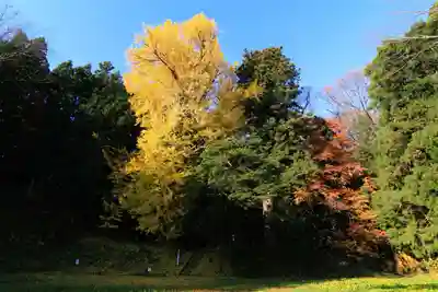 乙宿禰神社の周辺