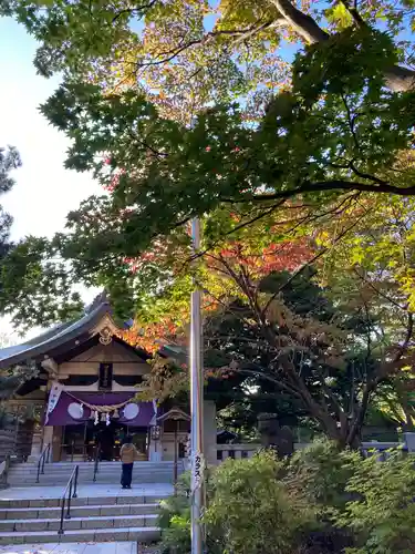 彌彦神社　(伊夜日子神社)の本殿・本堂