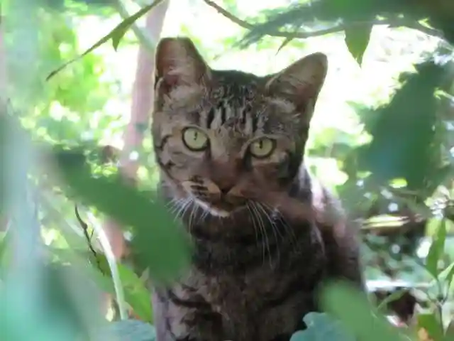 長岳寺(奈良県)