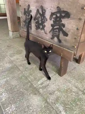 玉野御嶽神社(愛知県)