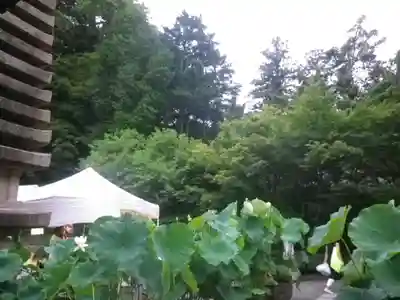 覚園寺のその他建物