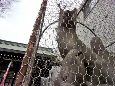 甘酒稲荷神社の狛犬