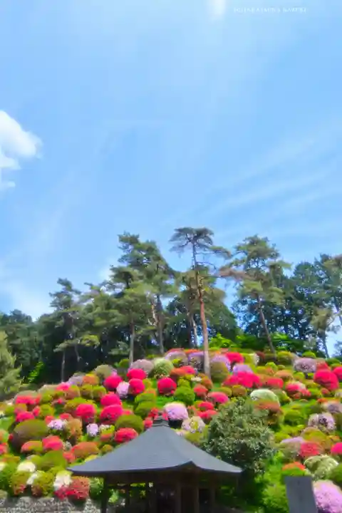 塩船観音寺(東京都)