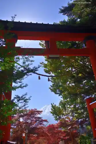 新倉富士浅間神社の鳥居