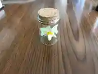 大雄院のその他建物