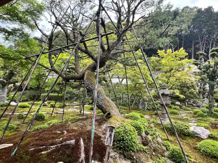 金剛寺(大阪府)