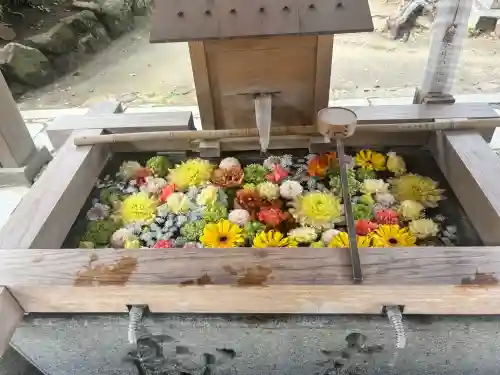 四條畷神社の{uncategorized: "未分類", other: "その他", undefined: "問題あり", building: "その他建物", grave: "お墓", sacred_gate: "鳥居", guardian: "狛犬", statue: "像", buddha: "仏像", history: "歴史", nature: "自然", garden: "庭園", animal: "動物", pagoda: "塔", temizu: "手水舎", mountain_gate: "山門・神門", sanctuary: "本殿・本堂", subordinate: "末社・摂社", art: "芸術", scenery: "景色", jizo: "地蔵", ema: "絵馬", goshuin: "御朱印", omikuji: "おみくじ", items: "授与品その他", amulet: "お守り", goshuincho: "御朱印帳", eats: "食事", festival: "お祭り", votive_dance: "神楽", shichigosan: "七五三参", wedding: "結婚式", experience: "体験その他", initially: "初詣", around: "周辺", anti_infection: "感染症対策"}