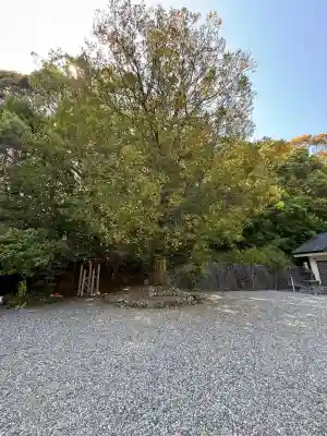 宇賀多神社の{uncategorized: "未分類", other: "その他", undefined: "問題あり", building: "その他建物", grave: "お墓", sacred_gate: "鳥居", guardian: "狛犬", statue: "像", buddha: "仏像", history: "歴史", nature: "自然", garden: "庭園", animal: "動物", pagoda: "塔", temizu: "手水舎", mountain_gate: "山門・神門", sanctuary: "本殿・本堂", subordinate: "末社・摂社", art: "芸術", scenery: "景色", jizo: "地蔵", ema: "絵馬", goshuin: "御朱印", omikuji: "おみくじ", items: "授与品その他", amulet: "お守り", goshuincho: "御朱印帳", eats: "食事", festival: "お祭り", votive_dance: "神楽", shichigosan: "七五三参", wedding: "結婚式", experience: "体験その他", initially: "初詣", around: "周辺", anti_infection: "感染症対策"}