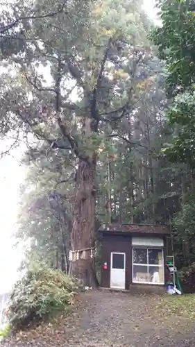 穴蔵神社(宮城県)