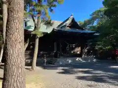 浜松八幡宮の本殿