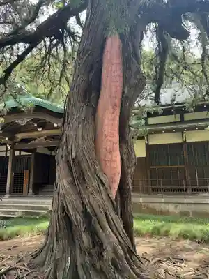 円覚寺(神奈川県)
