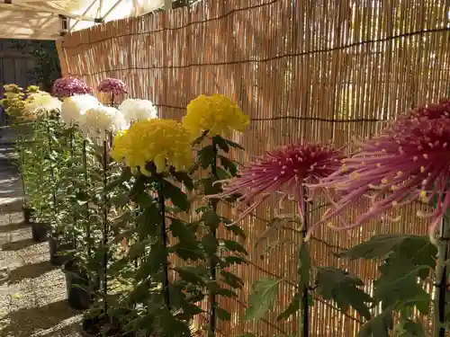 曾屋神社の自然
