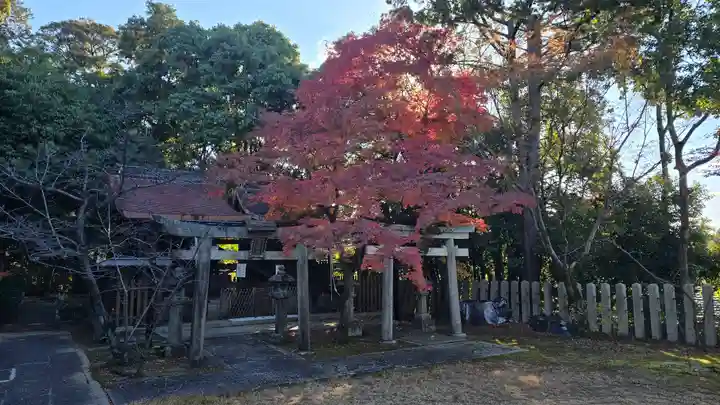 新日吉神宮(京都府)