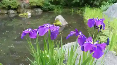 青龍山 吉祥寺(群馬県)