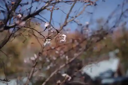 山梨縣護國神社(山梨県)