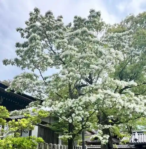 伏見稲荷大社の{uncategorized: "未分類", other: "その他", undefined: "問題あり", building: "その他建物", grave: "お墓", sacred_gate: "鳥居", guardian: "狛犬", statue: "像", buddha: "仏像", history: "歴史", nature: "自然", garden: "庭園", animal: "動物", pagoda: "塔", temizu: "手水舎", mountain_gate: "山門・神門", sanctuary: "本殿・本堂", subordinate: "末社・摂社", art: "芸術", scenery: "景色", jizo: "地蔵", ema: "絵馬", goshuin: "御朱印", omikuji: "おみくじ", items: "授与品その他", amulet: "お守り", goshuincho: "御朱印帳", eats: "食事", festival: "お祭り", votive_dance: "神楽", shichigosan: "七五三参", wedding: "結婚式", experience: "体験その他", initially: "初詣", around: "周辺", anti_infection: "感染症対策"}