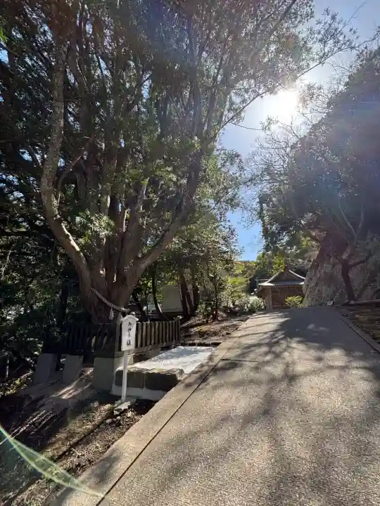 安房神社の{uncategorized: "未分類", other: "その他", undefined: "問題あり", building: "その他建物", grave: "お墓", sacred_gate: "鳥居", guardian: "狛犬", statue: "像", buddha: "仏像", history: "歴史", nature: "自然", garden: "庭園", animal: "動物", pagoda: "塔", temizu: "手水舎", mountain_gate: "山門・神門", sanctuary: "本殿・本堂", subordinate: "末社・摂社", art: "芸術", scenery: "景色", jizo: "地蔵", ema: "絵馬", goshuin: "御朱印", omikuji: "おみくじ", items: "授与品その他", amulet: "お守り", goshuincho: "御朱印帳", eats: "食事", festival: "お祭り", votive_dance: "神楽", shichigosan: "七五三参", wedding: "結婚式", experience: "体験その他", initially: "初詣", around: "周辺", anti_infection: "感染症対策"}