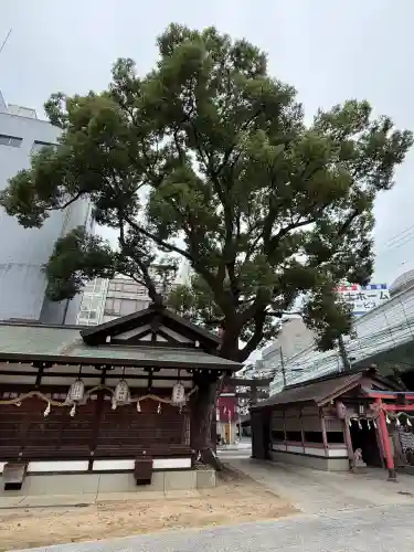 堀川戎神社(大阪府)
