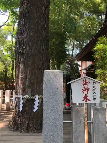 田無神社の自然