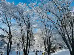 土津神社｜こどもと出世の神さまの自然