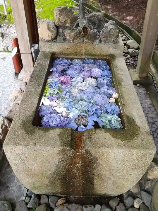 村雲御所瑞龍寺門跡の手水舎