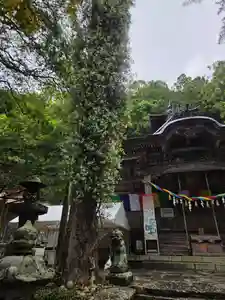 横山不動尊(宮城県)(2026年06月08日(月) 12時43分01秒投稿)