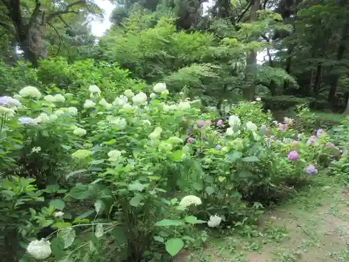 播州清水寺(兵庫県)