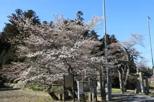 鹿島大神宮の庭園